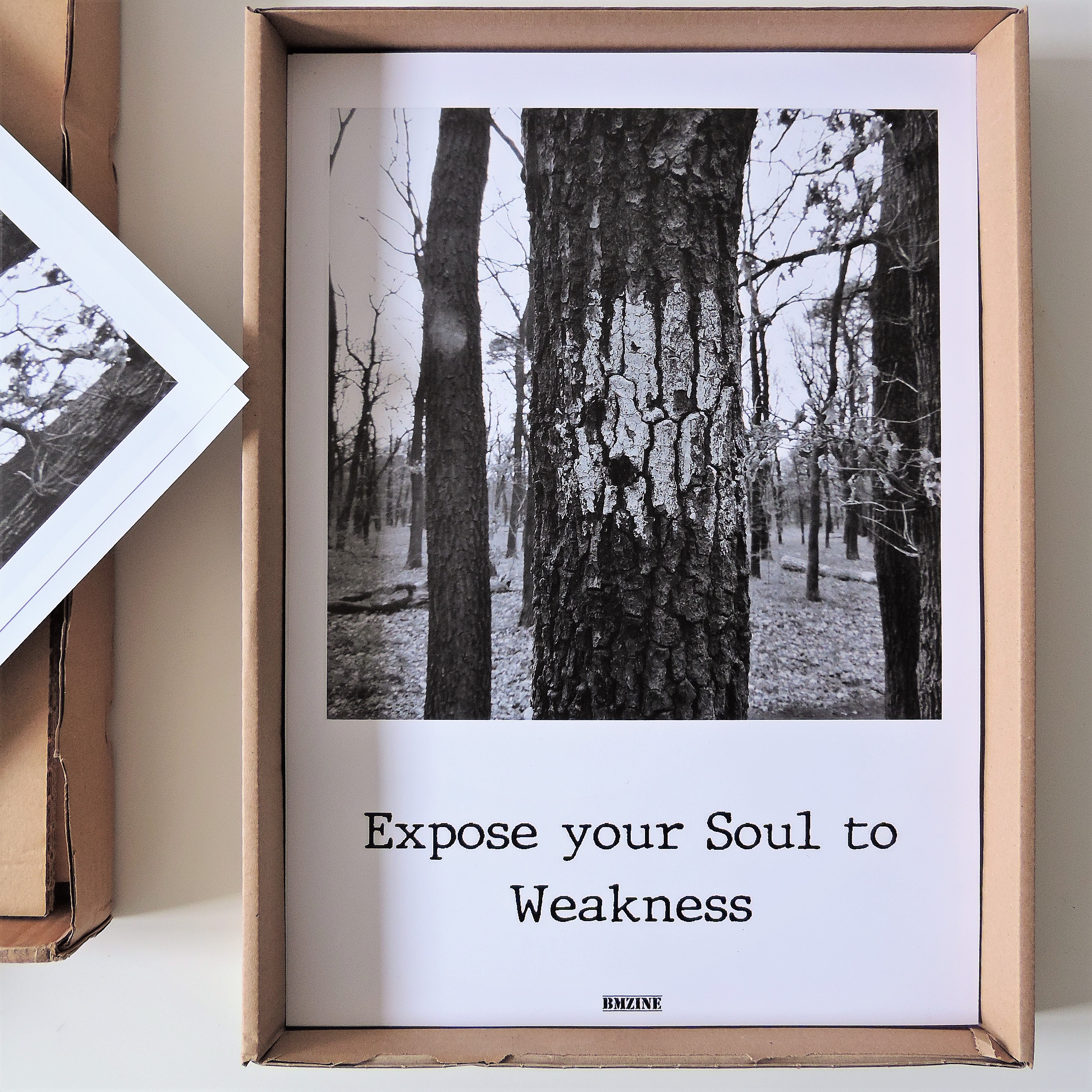 Expose your Soul to Weakness - bmzine Poster